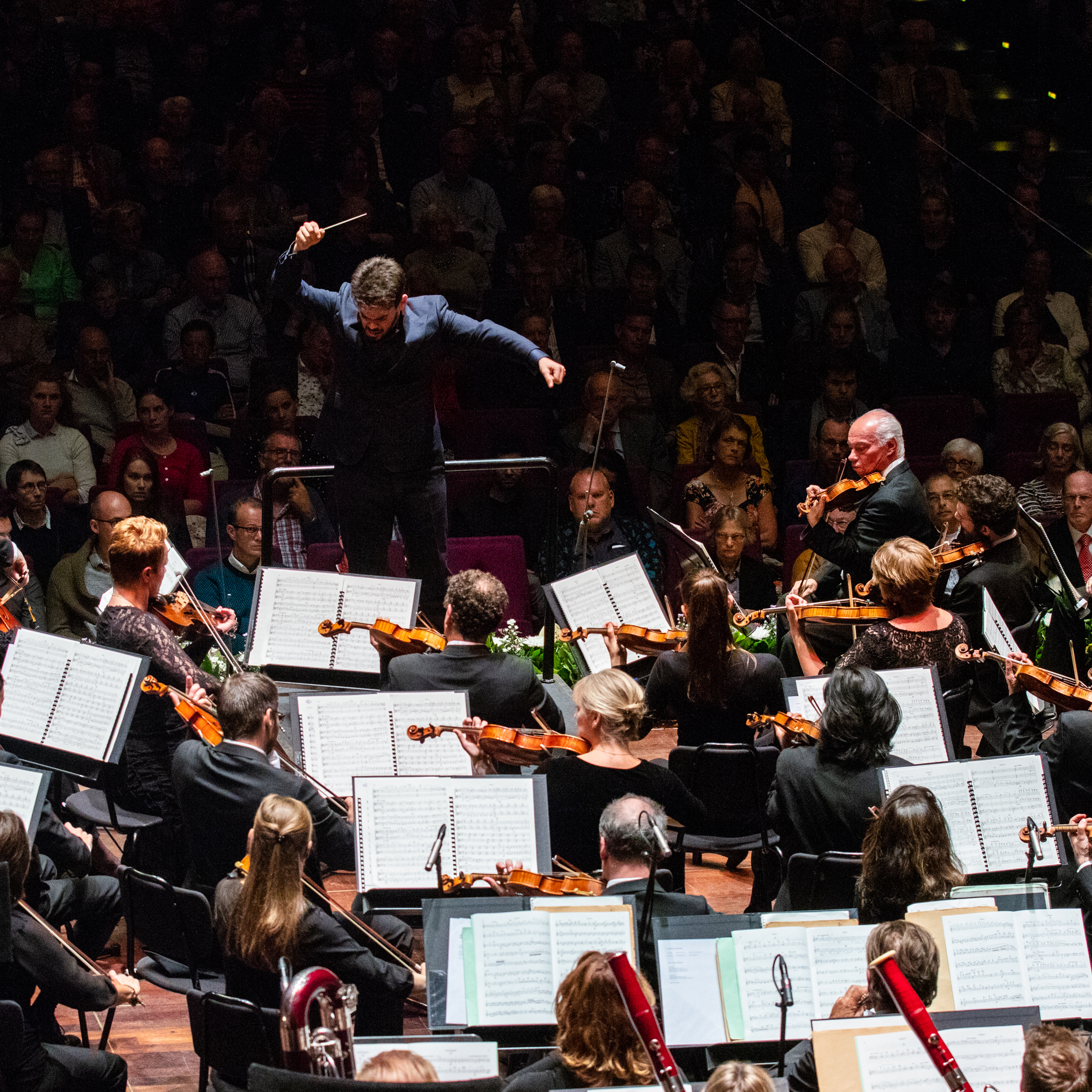 Rotterdam Philharmonic Orchestra