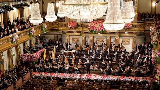 Новогодний концерт 2014 Венского филармонического оркестра