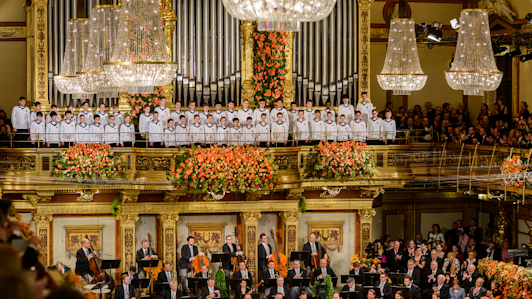 Новогодний концерт 2016 Венского филармонического оркестра