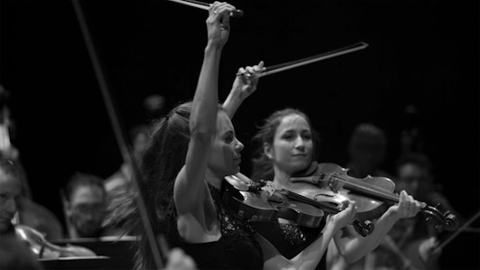 Concours de Genève 2023 : Demi-finale quatuor à cordes (Récital II/II)