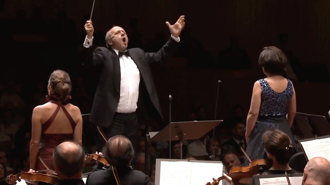 Adam Ivan Fischer Mahler Symphonies 24bit